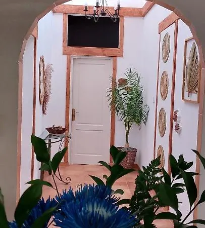 Patiocanario K'jacintoeventos Ca'ma *