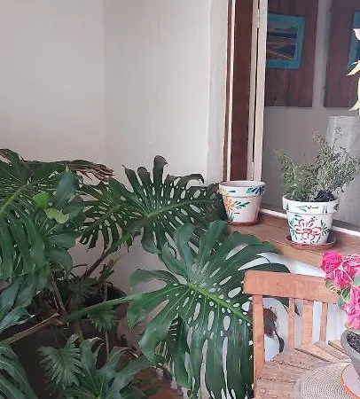 Patiocanario K'jacintoeventos Ca'ma * Puerto del Rosario (Fuerteventura)