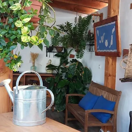 Patiocanario K'jacintoeventos Ca'ma * Puerto del Rosario (Fuerteventura)